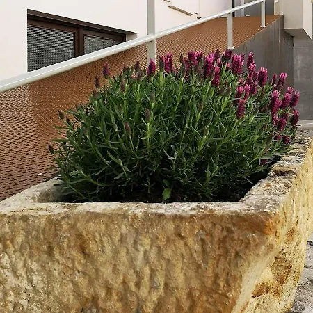 Feriehus Casa Do Adro, Casaspensadas